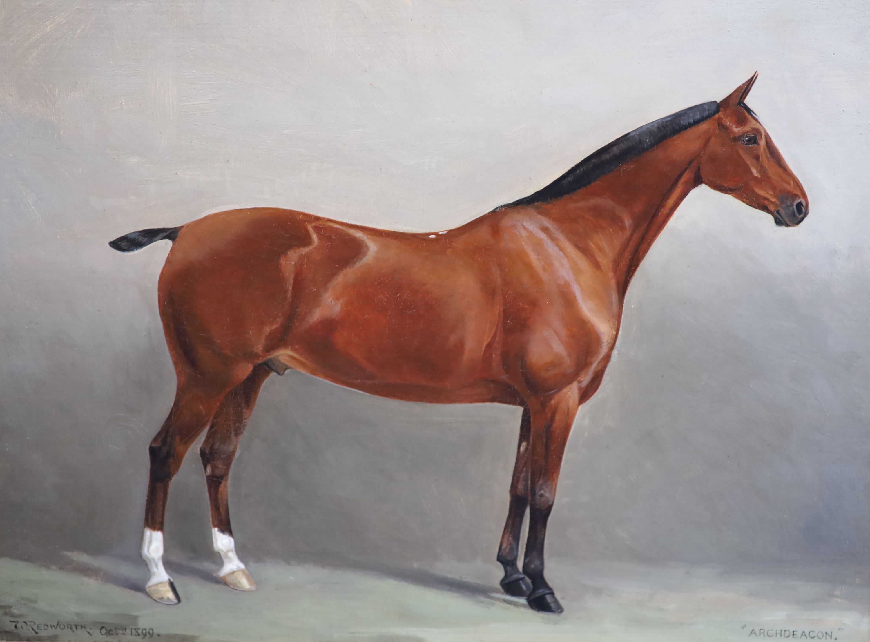 William Joseph Redworth (1873-1941) Portraits of Racehorses: Archdeacon, Chanois, Lord Dalmahoy and Niger 11.75 x 15.5in